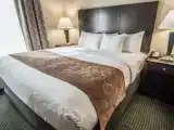 1 Bedroom Double Suite