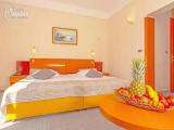 Standard Double room with park view