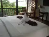 Deluxe Double Villa