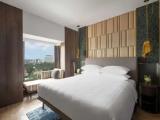 Premier Double Suite