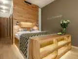 Standard Double room with balcony and with mountain view