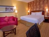 Standard Double room with pool view