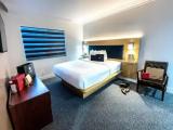 1 Bedroom Double Suite