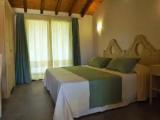 Standard Double room with garden view