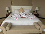 Business Suite