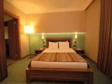 Superior room with river view