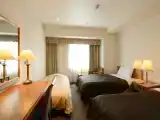 Standard Triple room with city view