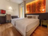 Standard Double room with balcony and with mountain view
