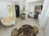 Deluxe Double room with balcony and with garden view