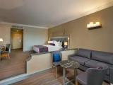 Standard Junior Suite with garden view