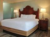 Standard room with land view