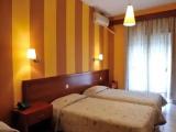 Standard Double room with balcony and with garden view