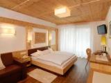Standard Double room with mountain view