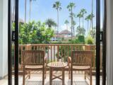 Deluxe Double room with balcony and with garden view