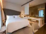 Single Suite