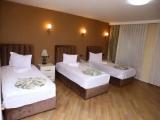 1 Bedroom Standard Triple room