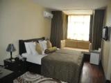 Standard Double room with lake view