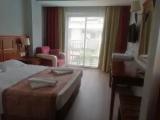 Standard room with balcony and with mountain view