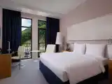 Premium Double room with french balcony and with river view