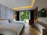 Deluxe Double room with balcony and with mountain view