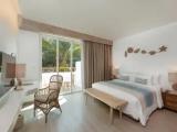 Superior Palm View Double room with balcony