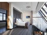 Ambassador room with city view