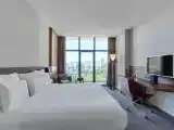 Superior Double room with city view