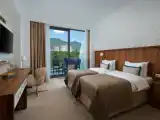 Deluxe Double Accessible room with mountain view