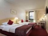 Standard Double room with garden view