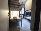 Bed in Dorm