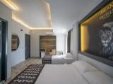 Standard Family room with balcony and with view