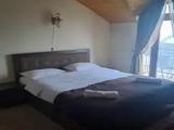Deluxe room with balcony and with mountain view