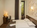Deluxe Double room with garden view