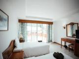Superior Double room with balcony and with mountain view