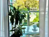 2 Bedrooms Quadruple Apartment with balcony and with view