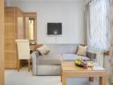 Deluxe Suite with city view