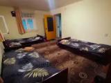 Bed in Dorm mountain view