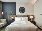 Classic Club Lounge Access Double room with Amir Temur square view