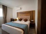Standard Double room with balcony and with view
