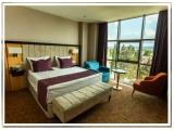 Deluxe Double room with view