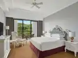 Deluxe Double room with balcony and with garden view