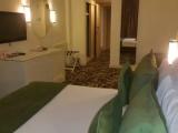 Standard Double room with balcony and with sea view
