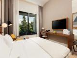 Superior Double room with garden view