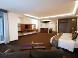 Executive Suite with view