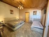 Standard room with balcony and with mountain view