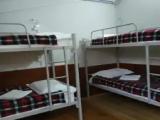 Bed in Dorm