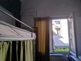 Bed in Dorm (female dorm)