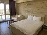 Standard Double room with balcony and with view