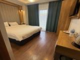 Standard room with balcony and with city view