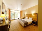 Comfort + Double room with balcony and with view